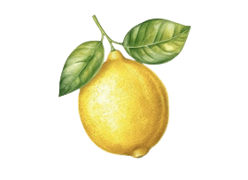 Lemon